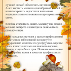 IMG_20211030_120710.jpg