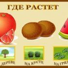IMG_20190721_192330.jpg